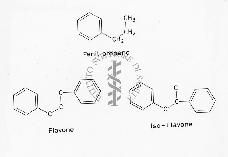 Formule di struttura del Fenil propano, del Flavone e dell'Iso-Flavone