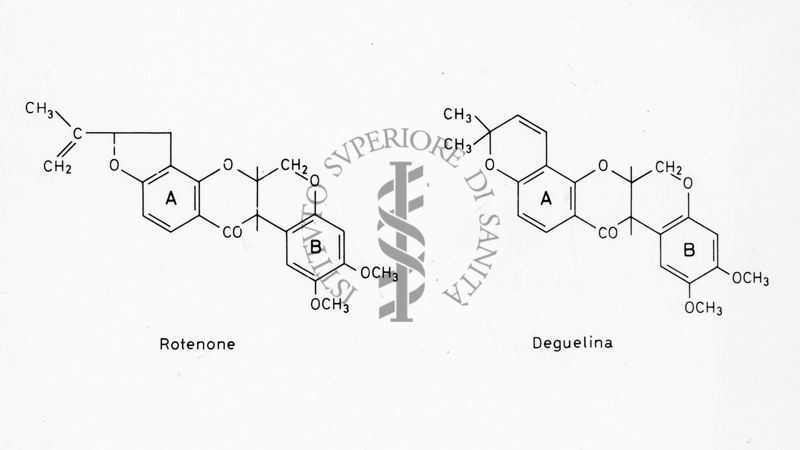 Formule di struttura del Rotenone e della Deguelina