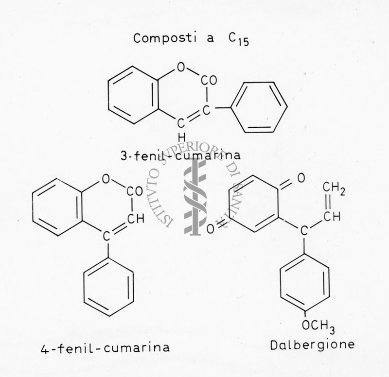 Composti a C15: Formule di struttura di 3-Fenil-cumarina, 4-Fenil-cumarina e Dalbergione