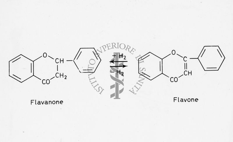 Formule di struttura del Flavanone e del Flavone