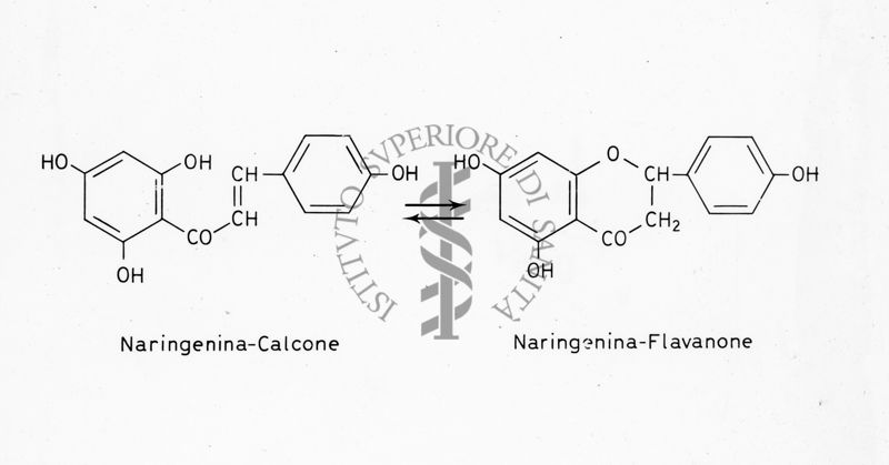 Formule di struttura di Naringenina-Calcone e Naringenina-Flavanone