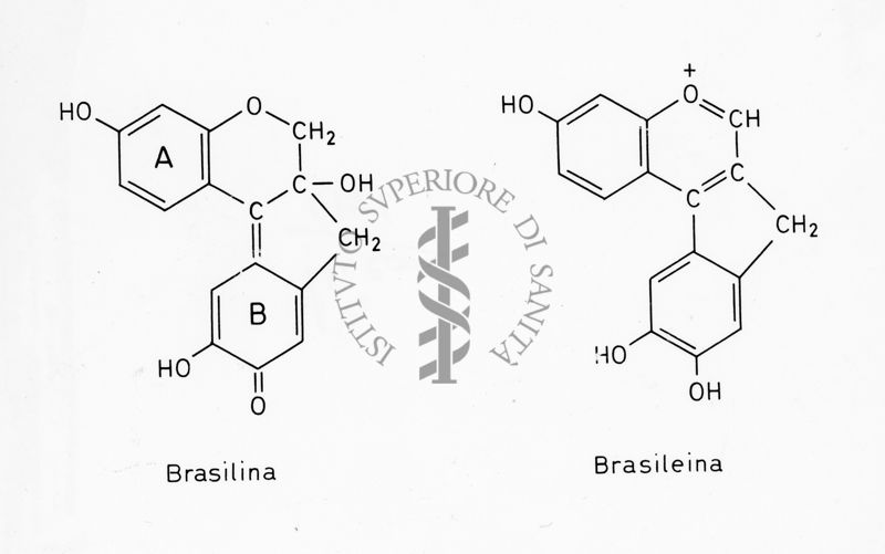 Formule di struttura della Brasilina e della Brasileina