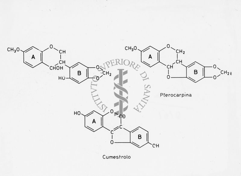 Formule di struttura della Pterocarpina e del Cumestrolo