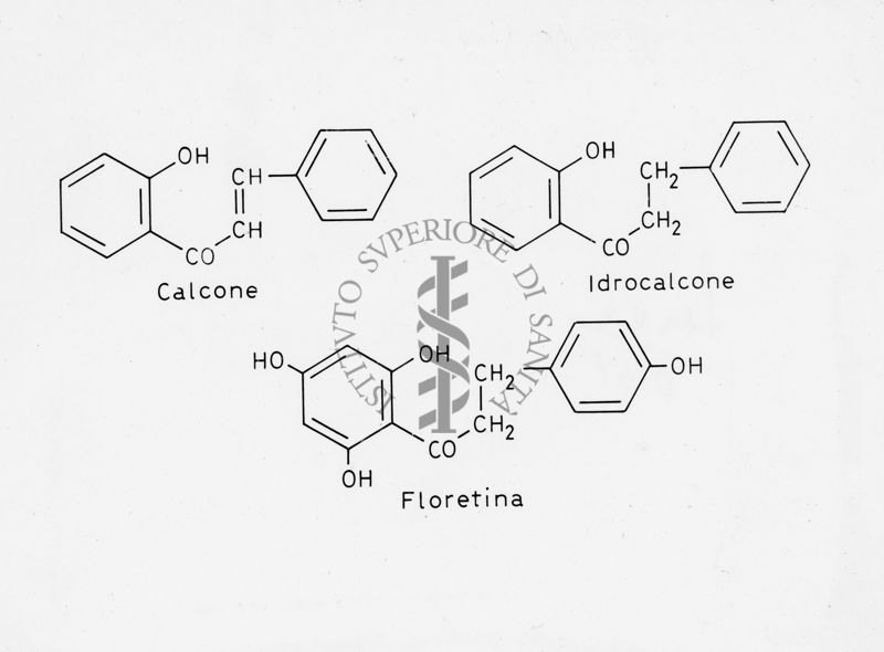 Formule di struttura di Calcone, Idrocalcone e Floretina