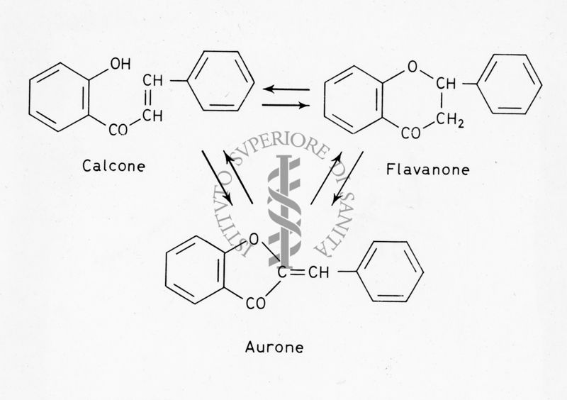 Formule di struttura del Calcone, del Flavanone e dell'Aurone