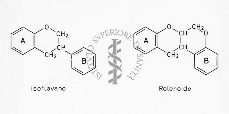 Formule di struttura dell'Isoflavano e del Rotenoide