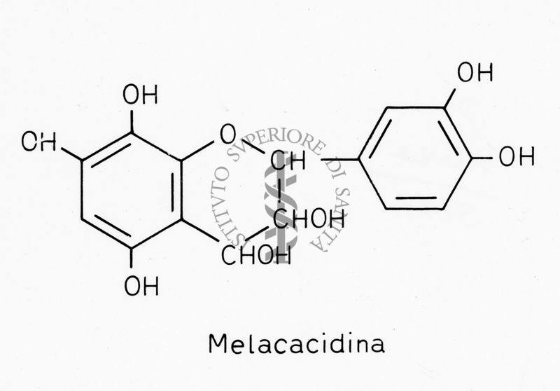 Formula di struttura della Melacacidina