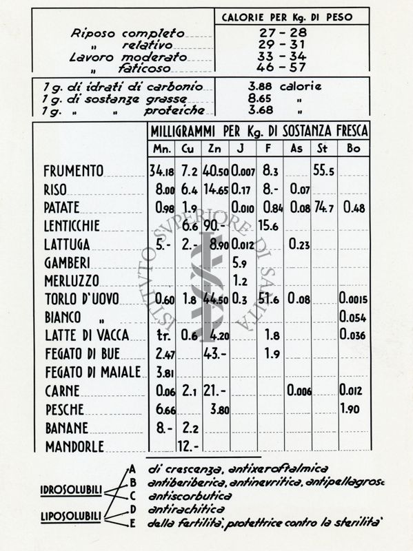 Tav. 10 - Tabella di dati interessanti il meccanismo dell'alimentazione