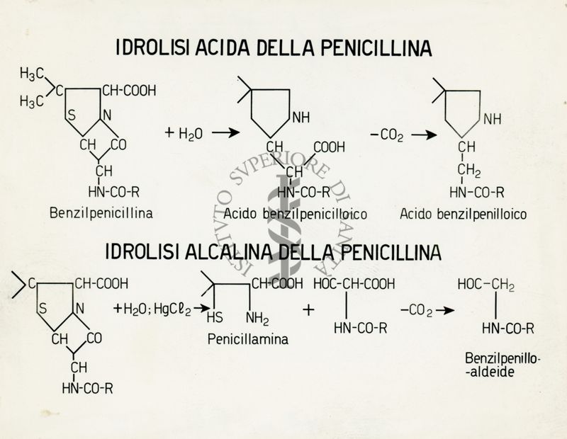 Tabella riguardate l'Idrolisi Acida della Penicillina