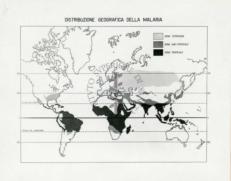 Tav. 14 - Cartogramma riguardante la Distribuzione Geografica della Malaria