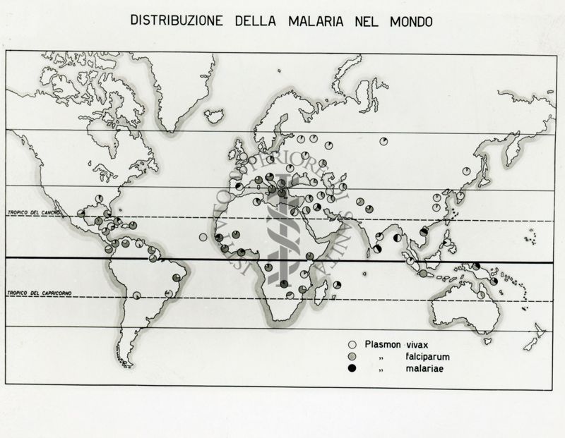 Tav. 16 - Cartogramma riguardante la distribuzione della Malaria nel Mondo