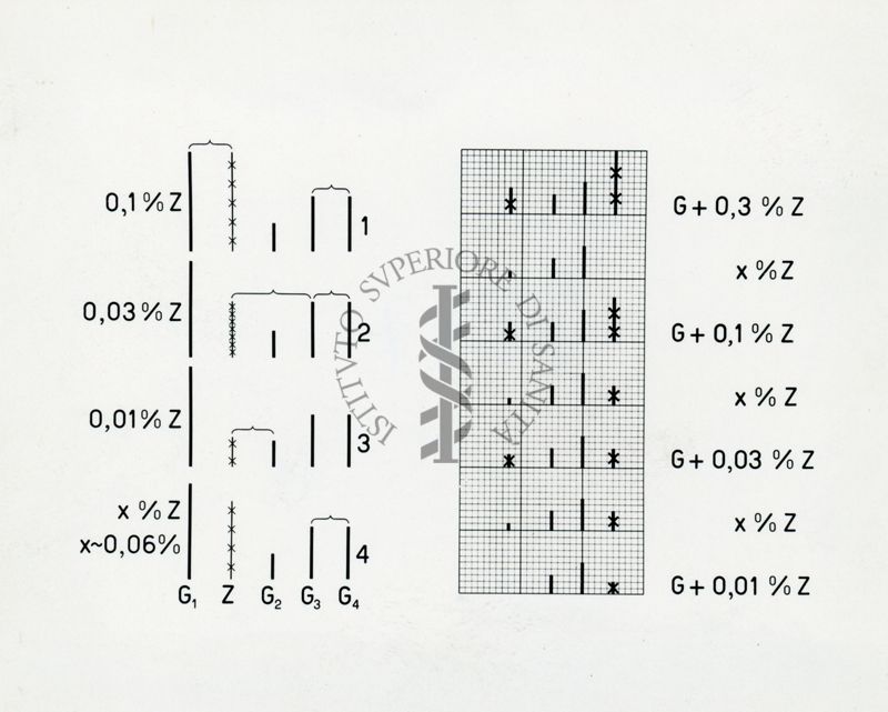 Tav. 52 - Schema del metodo delle linee omologhe