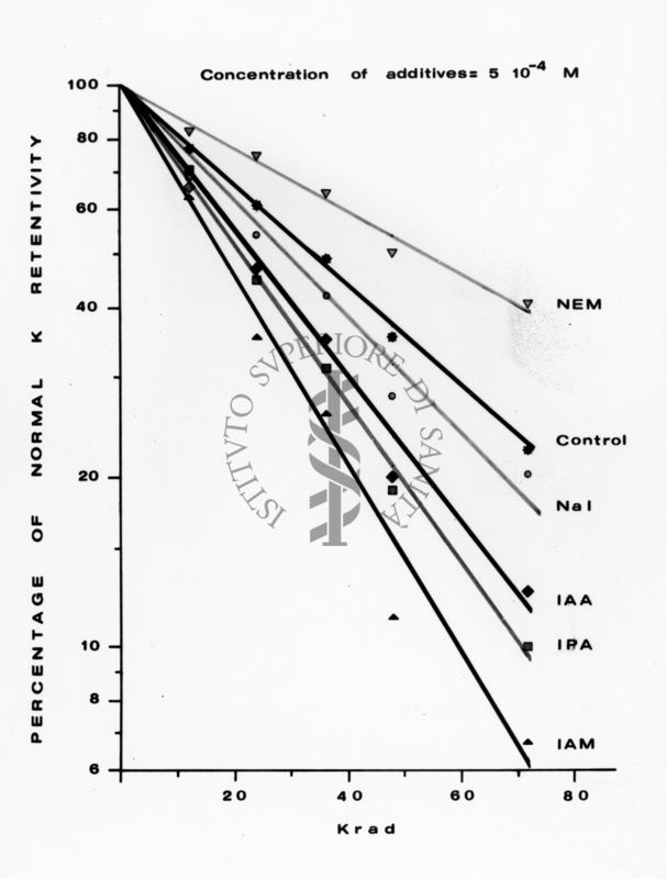 Grafico