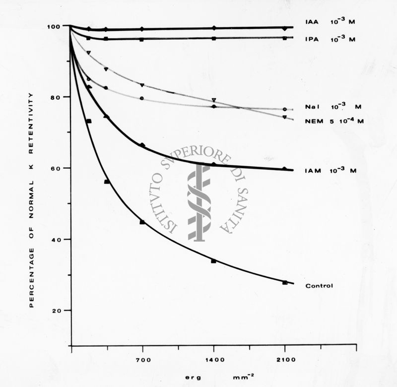 Grafico