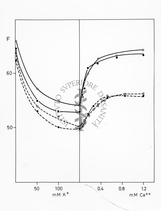 Grafico