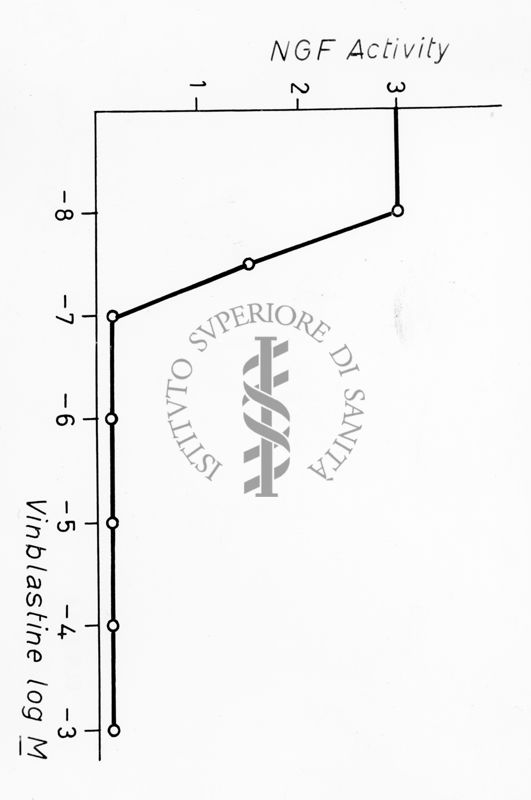 Grafico