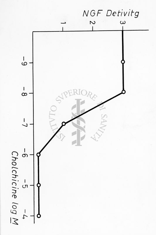 Grafico