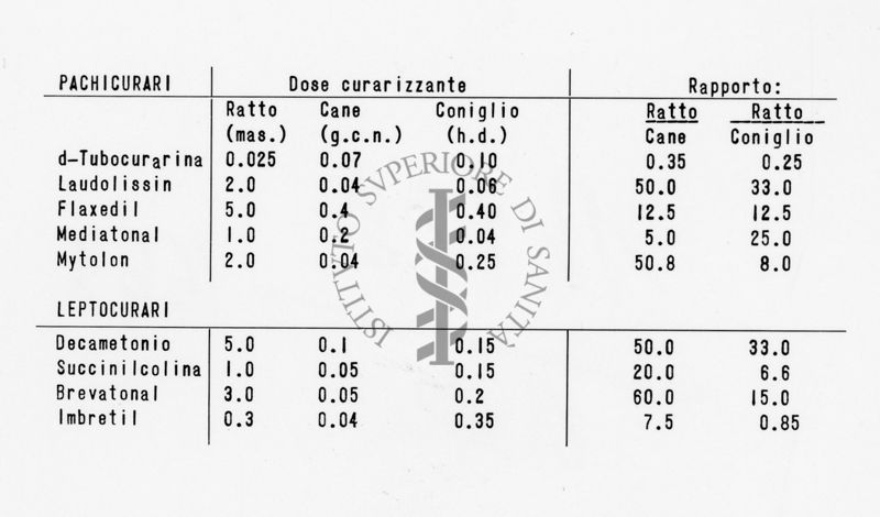 Azione dei curari sul malessere del ratto