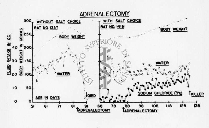 Fabbisogno salino nel ratto. Ricerche di Richter