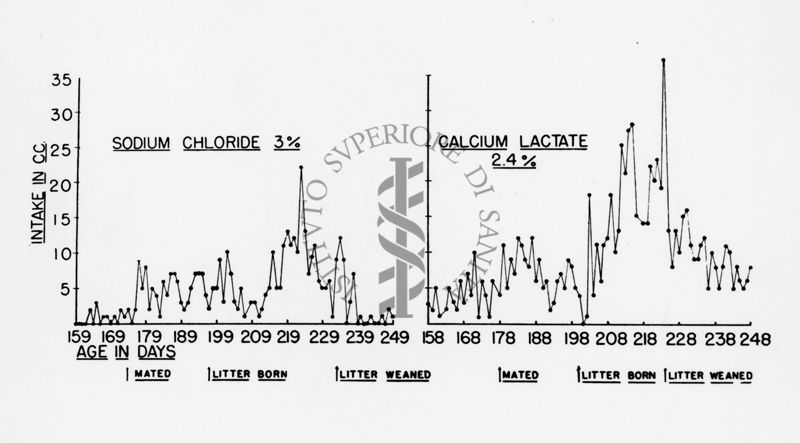 Fabbisogno salino nel ratto. Ricerche di Richter