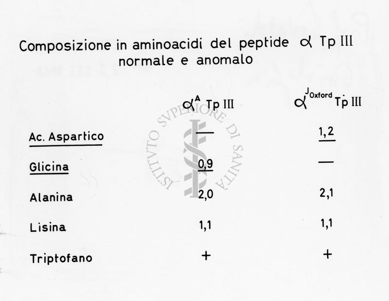 Tabella sulla composizione in aminoacidi del peptide alfa Tp III normale e anomalo