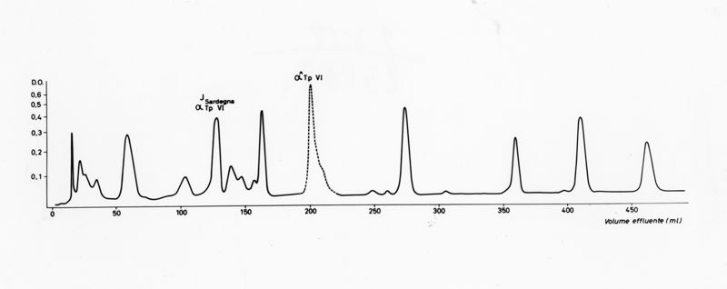 Grafico sulla composizione in aminoacidi del peptide alfa Tp III normale e anomalo