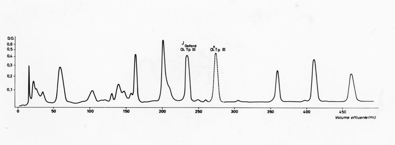 Grafico sulla composizione in aminoacidi del peptide alfa Tp III normale e anomalo