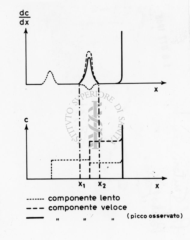 Grafico riguardante studi applicati al menisco