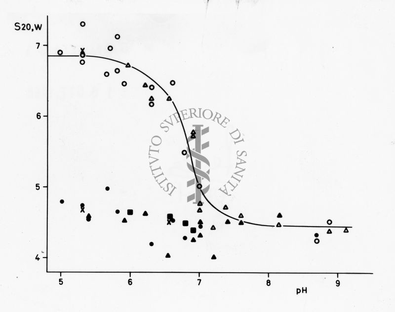 Grafico riguardante studi applicati al menisco