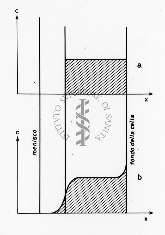 Grafico riguardante studi applicati al menisco