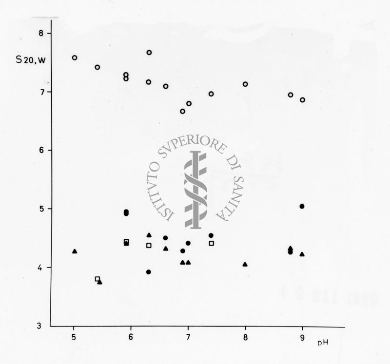 Grafico riguardante studi applicati al menisco