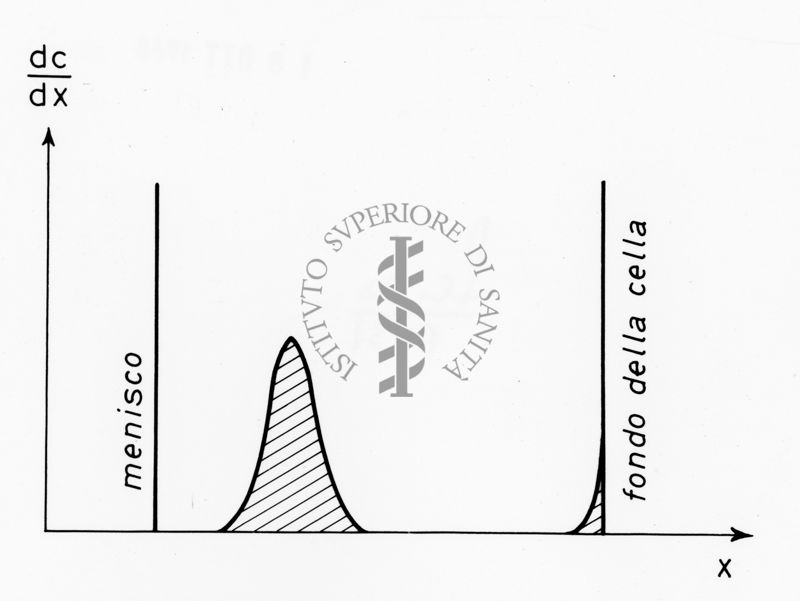 Grafico riguardante studi applicati al menisco