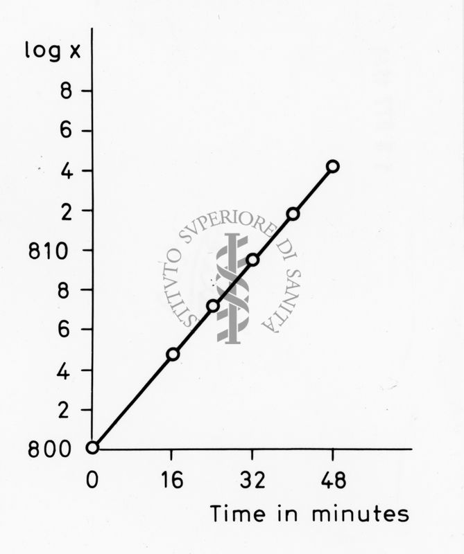 Grafico riguardante studi applicati al menisco