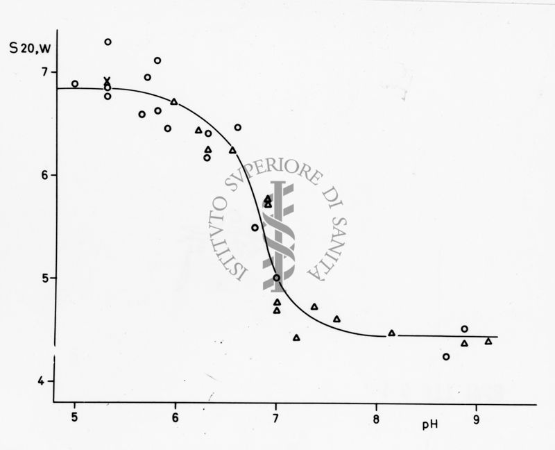 Grafico riguardante studi applicati al menisco