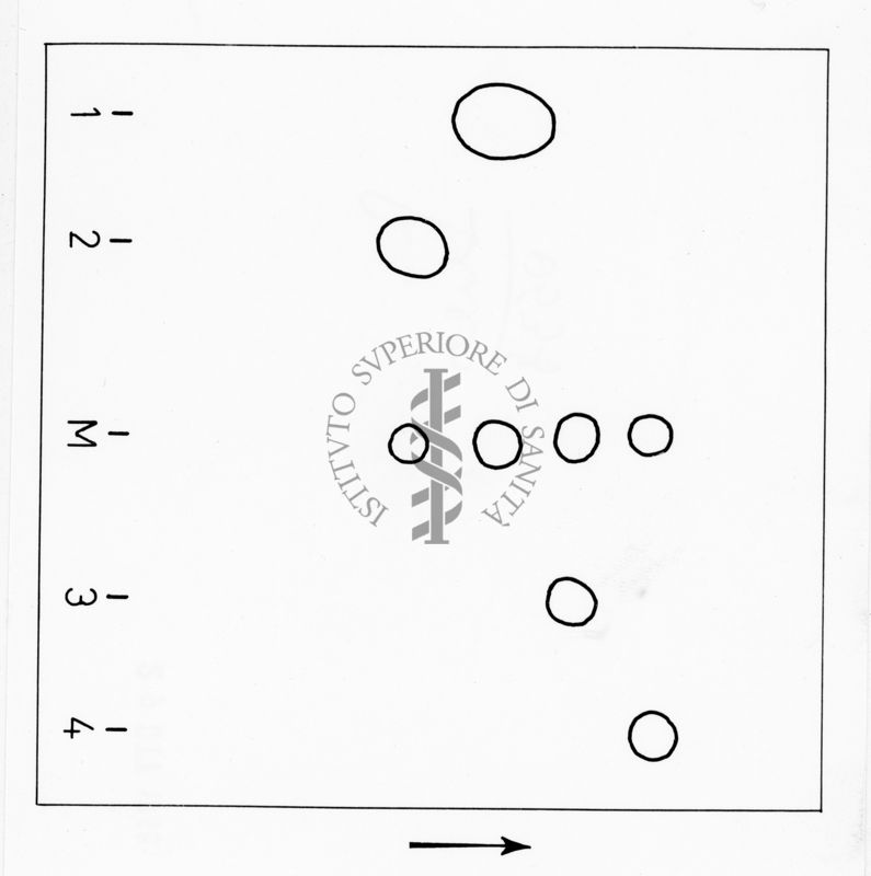 Grafico riguardante studi sconosciuti