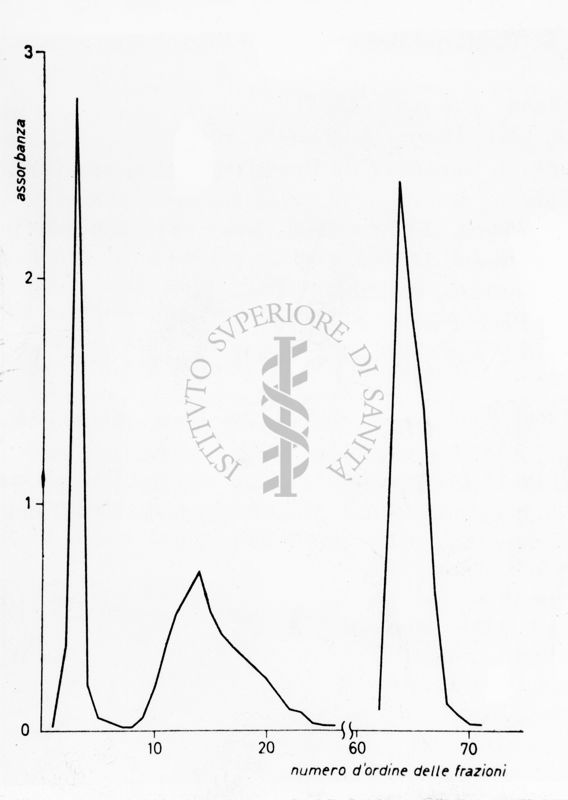 Grafico