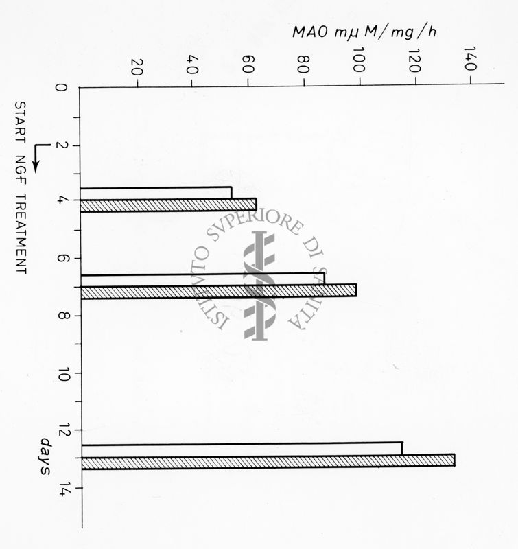 Grafico