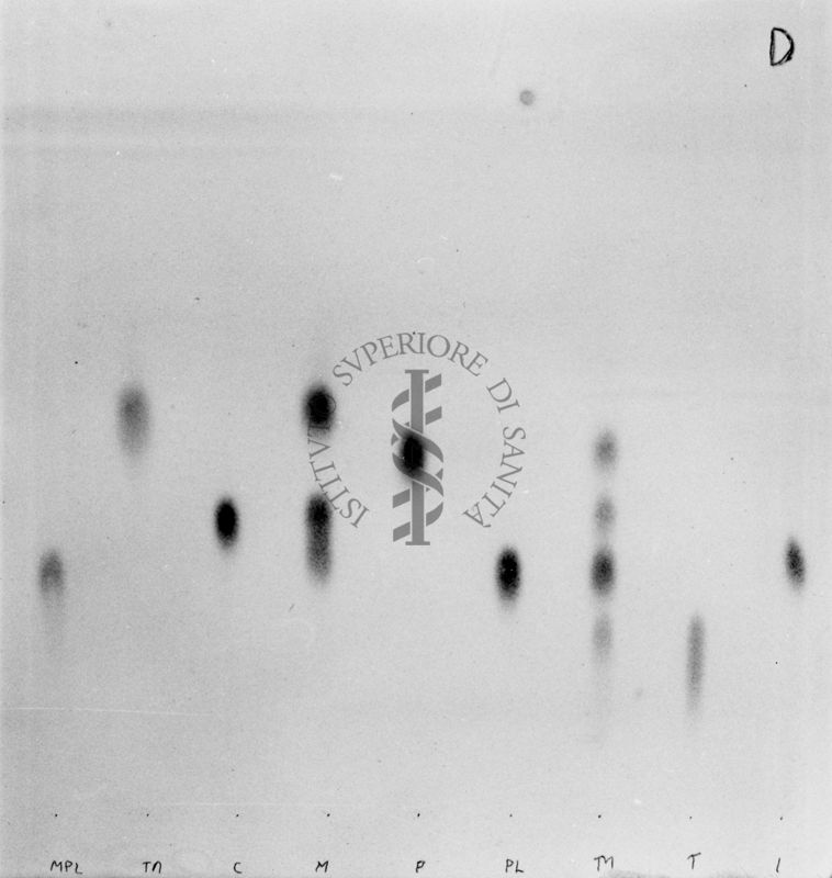 Riproduzione da gel