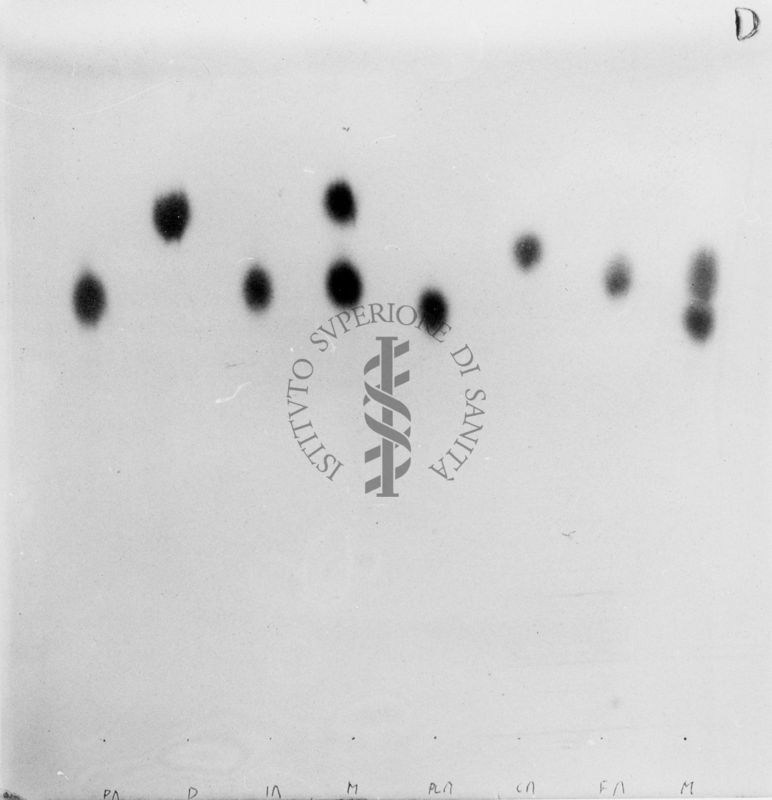 Riproduzione da gel