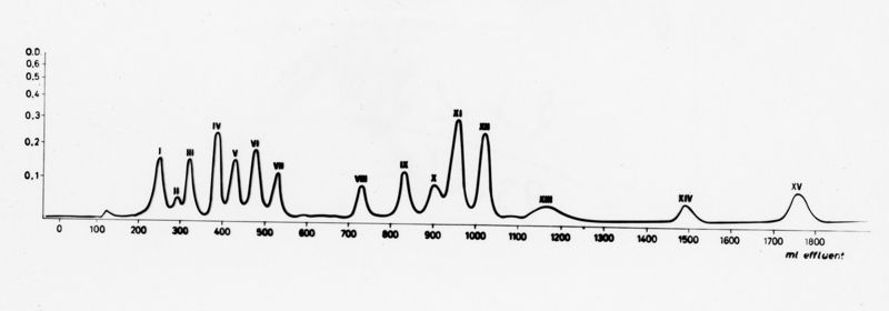 Grafico riferito a: "Amino Acid Compositions of the Soluble Tryptic Peptides from the Aminoethylated β - like chain Rana esculenta Hemoglobin (major component)"