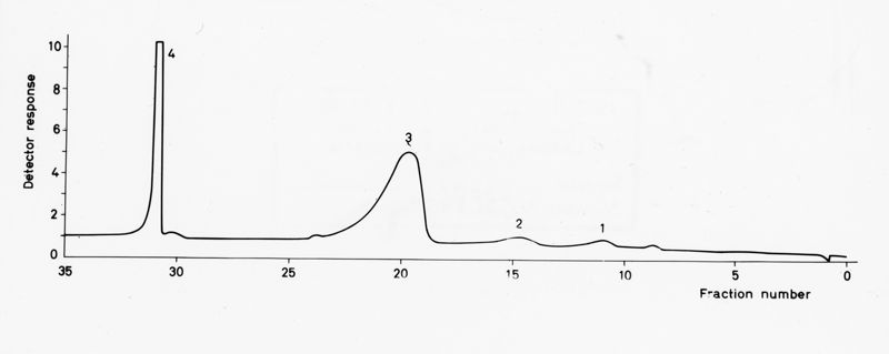 Grafico su studi ignoti