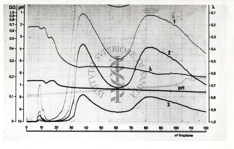 Grafico che si riferisce a caratteristiche ed esperimenti sui fosfolipidi