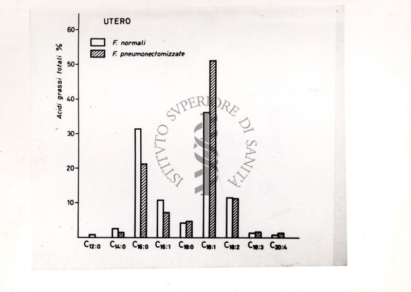 Istogramma che si riferisce a valori dell'utero