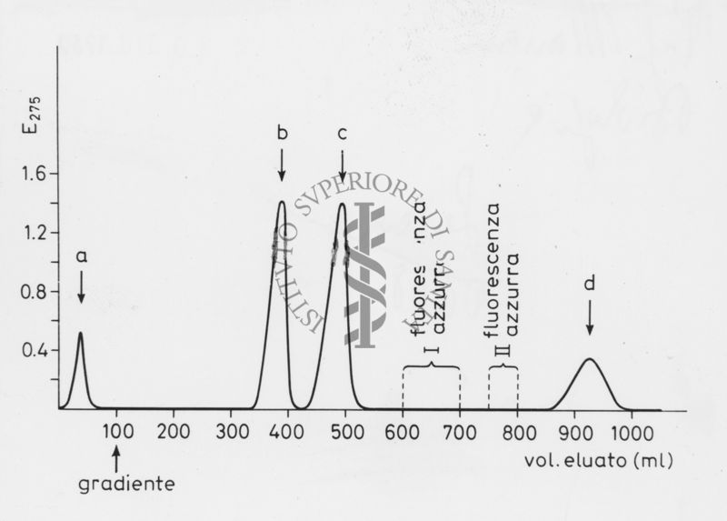 Grafico su studi ignoti