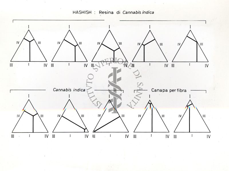 Grafico che si riferisce a studi ignoti