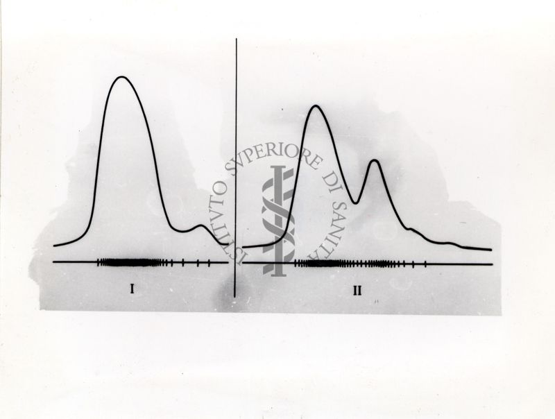 Grafici su studi ignoti