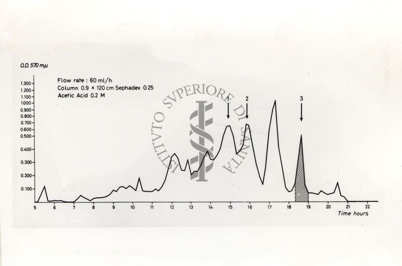 Grafico riguardante studi ignoti