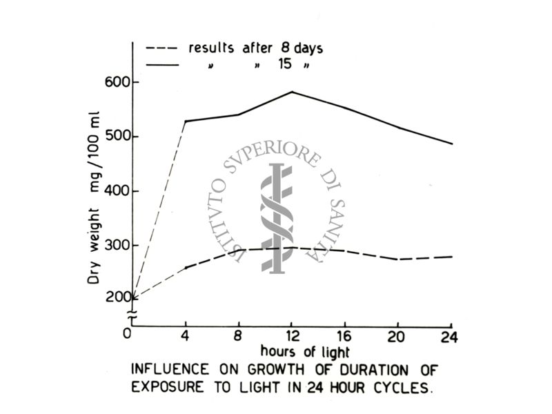 Curve di crescita e attività metabolica in diverse condizioni