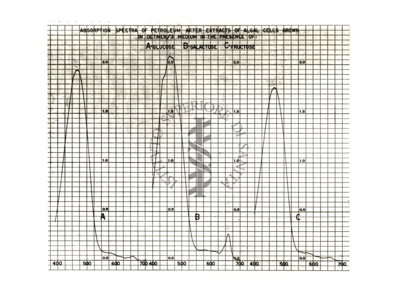 Spettri di assorbimento di cellule algali in diverse condizioni