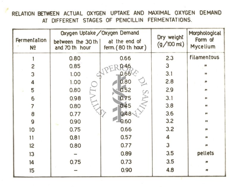 Spettri di assorbimento di cellule algali in diverse condizioni